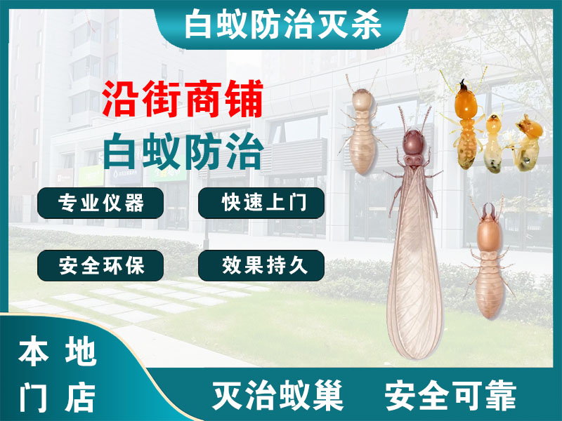 南通市沿街商铺白蚁防治