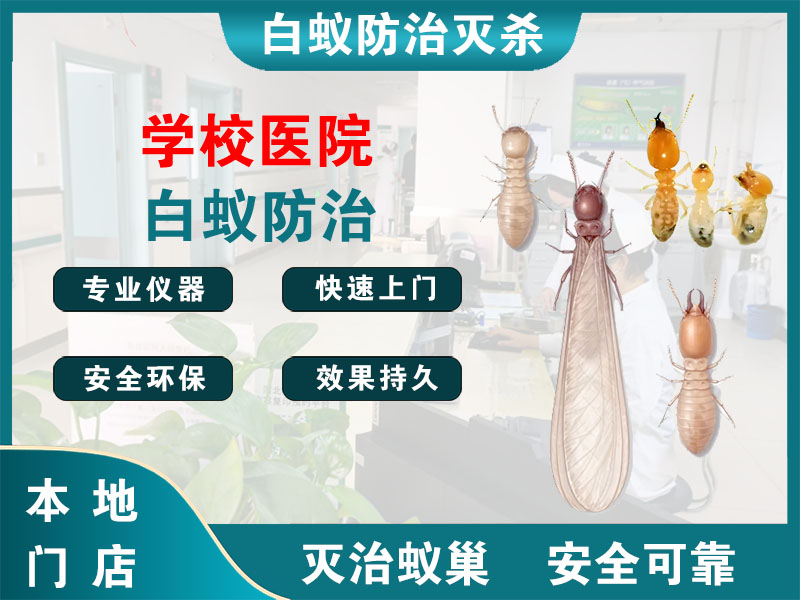 南通市学校医院白蚁防治