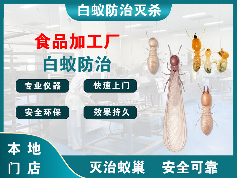 南通市食品加工厂白蚁防治
