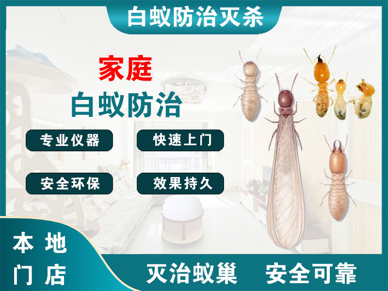 南通市家庭白蚁防治