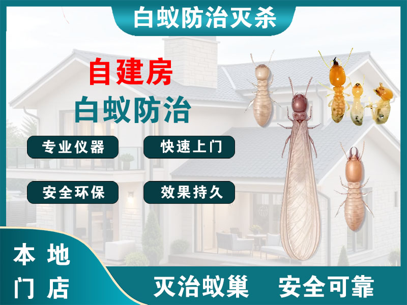 南通市自建房白蚁防治