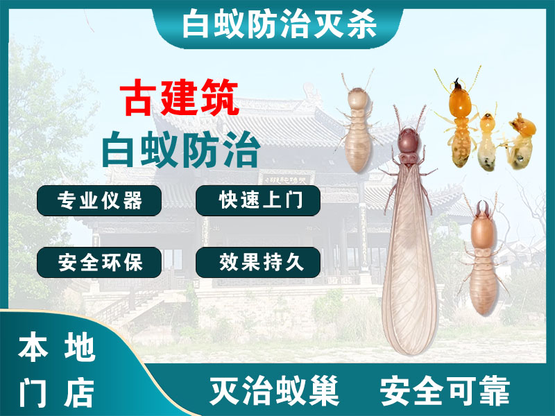 南通市古建筑白蚁防治