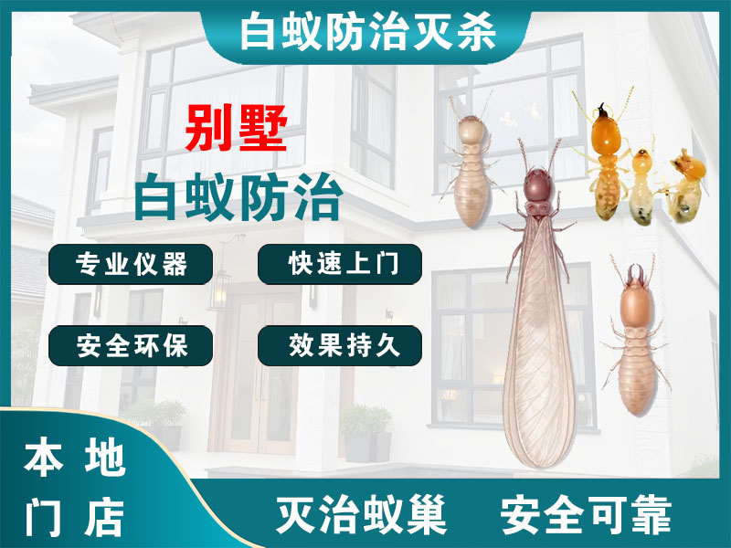 南通市别墅白蚁防治