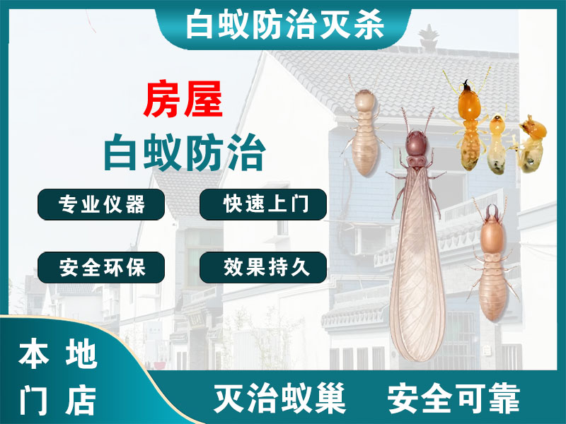 南通市房屋白蚁防治